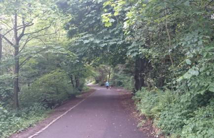 Violet Bank Apartment Morningside - Foto 24