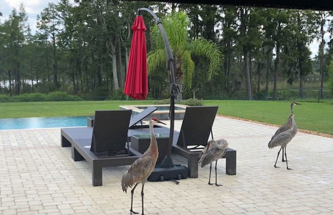 Swiss 105 - Lake Olsen - Photo 8