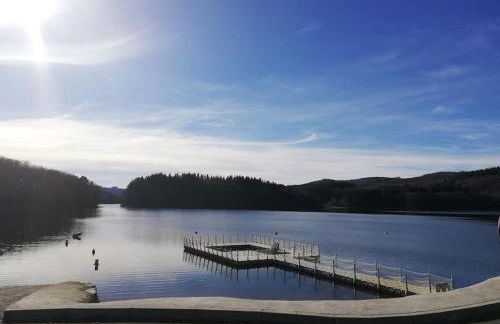 Chalet au lac de la raviège - Foto 23