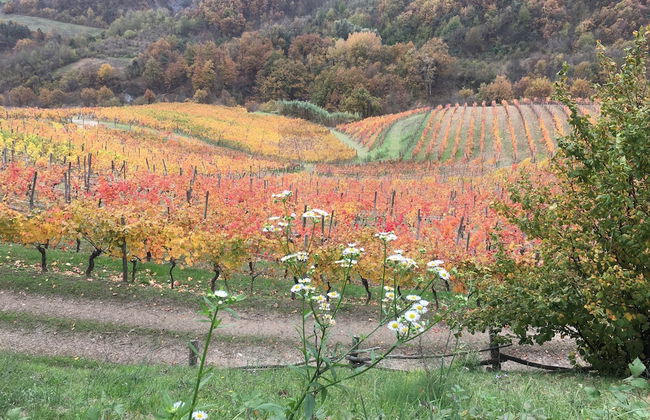 Cascina Bertolotto Wine Resort. - Foto 36