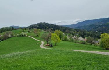 Domki U Uli - Foto 36