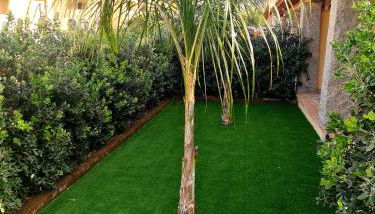 Giolet's House - Foto 3, Garden