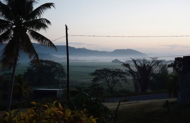 Retreat Plantation House - Photo 29