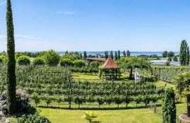 Obst- und Ferienhof Gomeringer - Foto 27