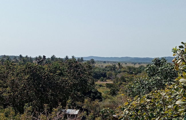 Restaurante Calor Tropical - Photo 73