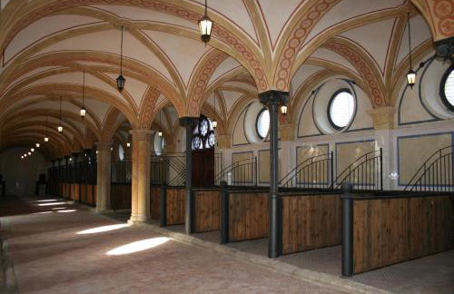 Apartament Na Starówce VII - Foto 24