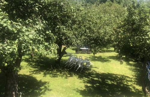 Chelles - Paris - Disneyland Marne la vallée - Foto 29