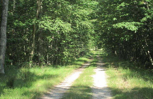 Cozy Nature Escape, Stoumont - Photo 32