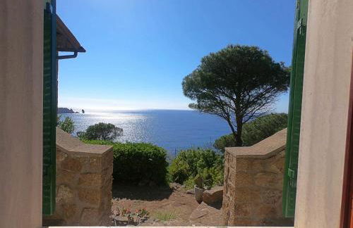 Ammiraglio - Foto 15