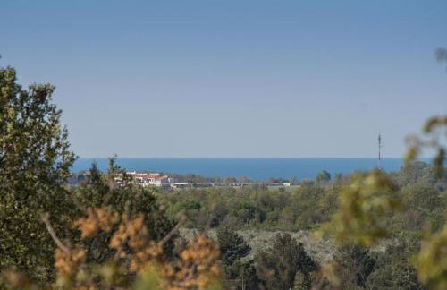 Apartment Bruneta 1 with Sea View - Foto 24