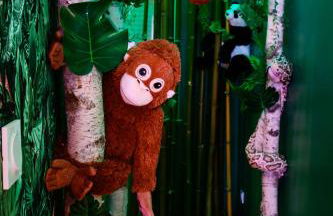 La suite Oasis - Foto 13