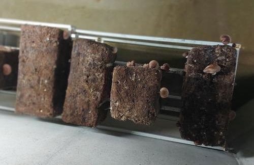 La Pause Bucolique - Photo 19