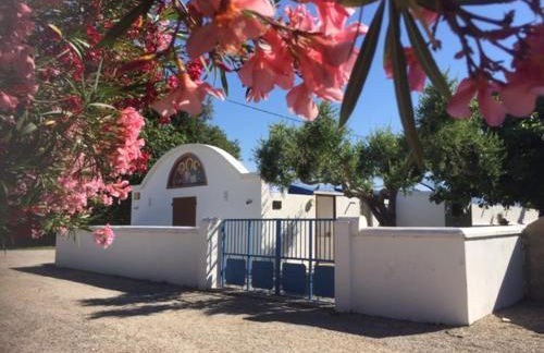 Les Oliviers de Camargue - Foto 33