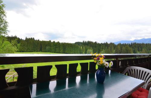 Alpiner Aufenthalt mit Balkon in Steingaden - Foto 15