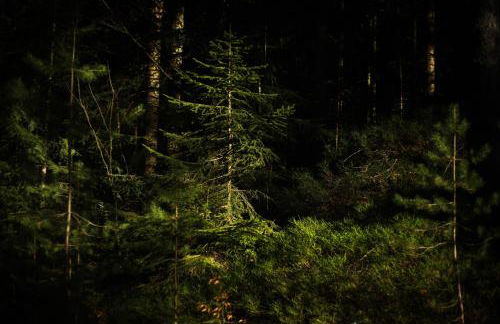 Sixt Martina - Foto 9