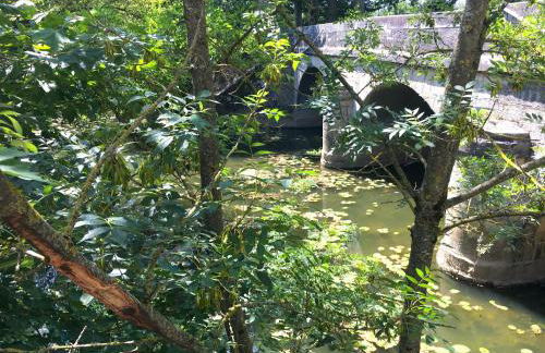 Au bord de l eau - Foto 14