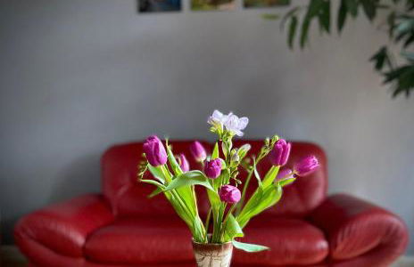 Ferienwohnungen Jowatzky Altkötzschenbroda - Foto 17