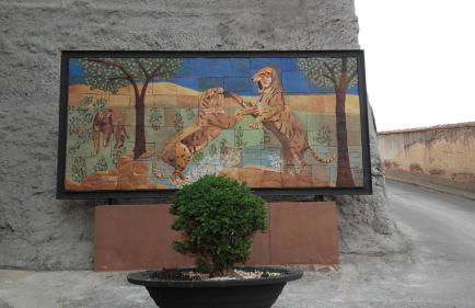 Barranco de las Maravillas - Foto 63