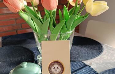 EliBlue -Twój apartament - Foto 4