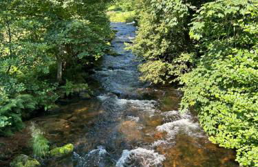 Kuckucksnest - Ferienwohnung mit Traumblick im Schwarzwald - Foto 35