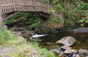 Waldgeflüster - Photo 14