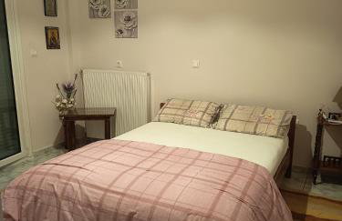 Vagelis 2 Nemea apartments - Foto 4