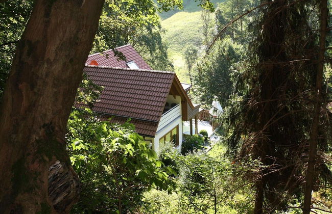 Apartment Haus am Berg, Lonau - Foto 63