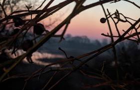 Ferienwohnung in der Uckermark - Photo 2