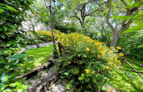 Exclusive Spoleto Country Park Pool Park Activities Mountain View Sleeps 28 - Foto 73