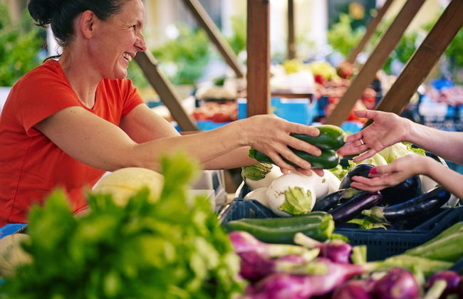 Apartments Vila Piranesi - Foto 22