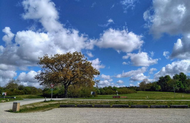 7 Person Holiday Home in Kolind-by Traum - Photo 5