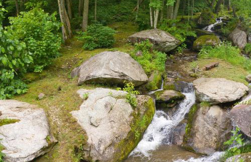 Windows Over Waterfalls - Foto 49