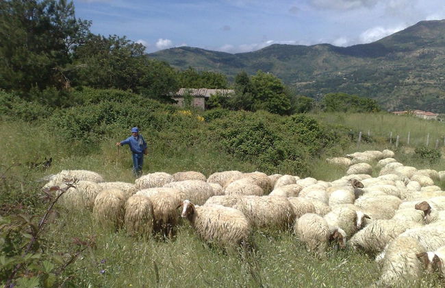 Locanda di Cadì - Foto 50