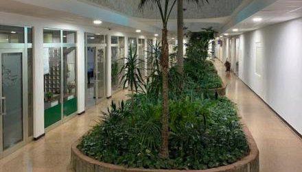 Sunny Central near Yumbo and Dunes - Foto 5