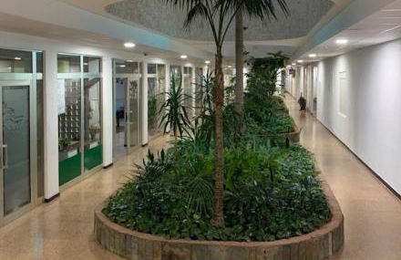 Sunny Central near Yumbo and Dunes - Foto 5