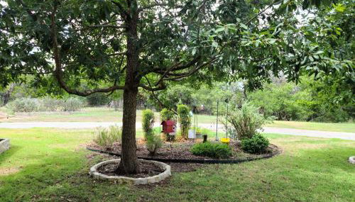Hill Country Haute n Haus Relax and Renew - Foto 5, Garden