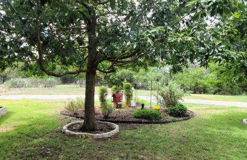 Hill Country Haute n Haus Relax and Renew - Photo 5