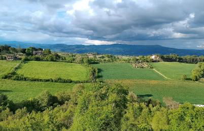 Casa Vacanze Emmanuele - Foto 16