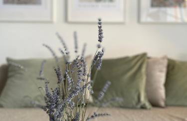 Villa Duje - Photo 48