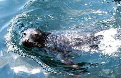 Bryn-y-Gof - Photo 10