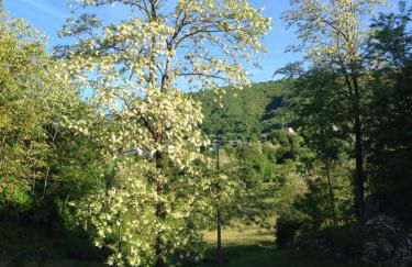 Agriturismo Fattoria Togonegro - Foto 27