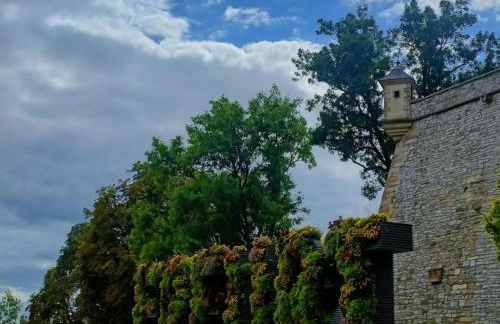 Am Sandberg - Foto 22