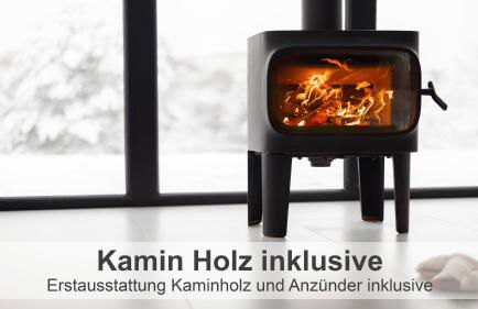 Gulfhof-Ferien Briese - Foto 28