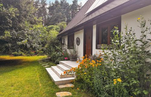 COZY COTTAGE IN THE WOODS - Przytulny domek w lesie - Photo 1