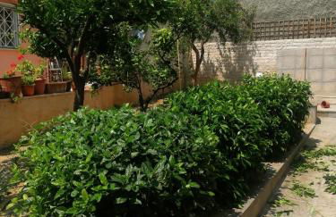 Fella Chalkida - Foto 38