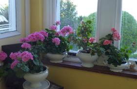 Kinneil Self Catering - Photo 21