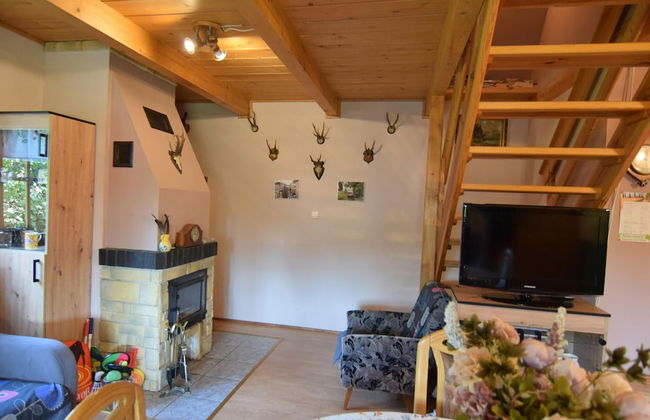 Holiday Home, Niesiolowice - Foto 8