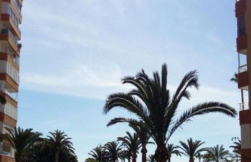 Apartamento BellaVista Algarrobo - Foto 39