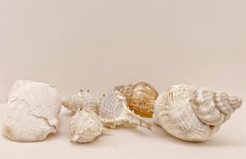 Ablaze Luxury Athens - Foto 21