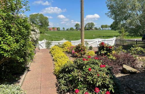 Elbwiesenhaus mit schönen Garten - Foto 16